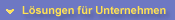 Lösungen für Unternehmen