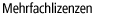 Mehrfachlizenzen