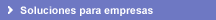 Soluciones para empresas