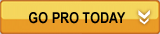 http://download.zonealarm.com/bin/images/products/zafree/goPro.gif