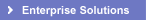 Enterprise Solutions